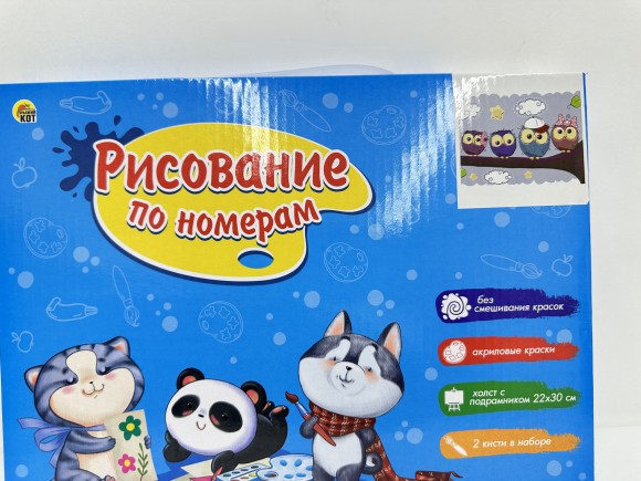 Холст с красками 22х30 по номер. в кор. (16цв.) Смешные совята (Арт. Х-4008)